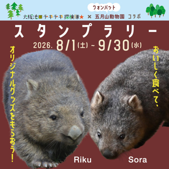【8月1日(土)~9月30日(水)】チキチキ探検隊×五月山動物園ウォンバット コラボスタンプラリー